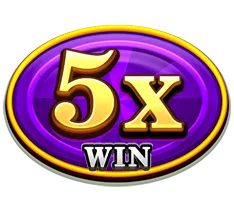 x5